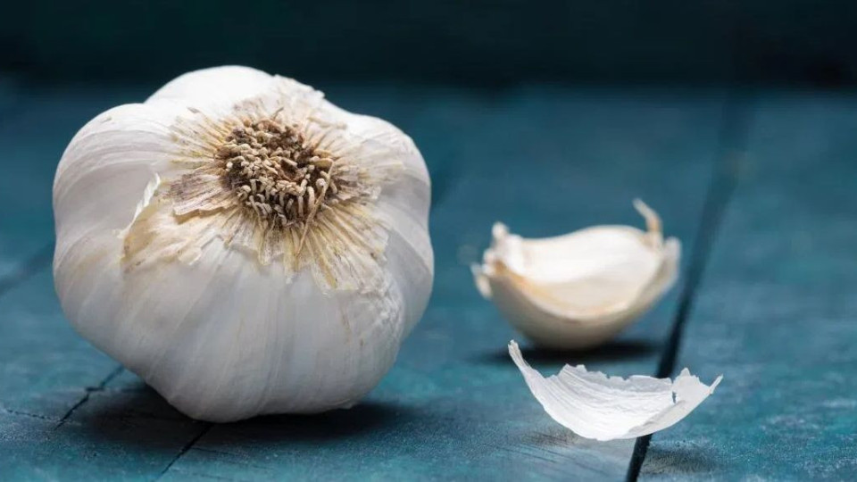 Как чесънът стана най-мощното лекарство от природата | StandartNews.com