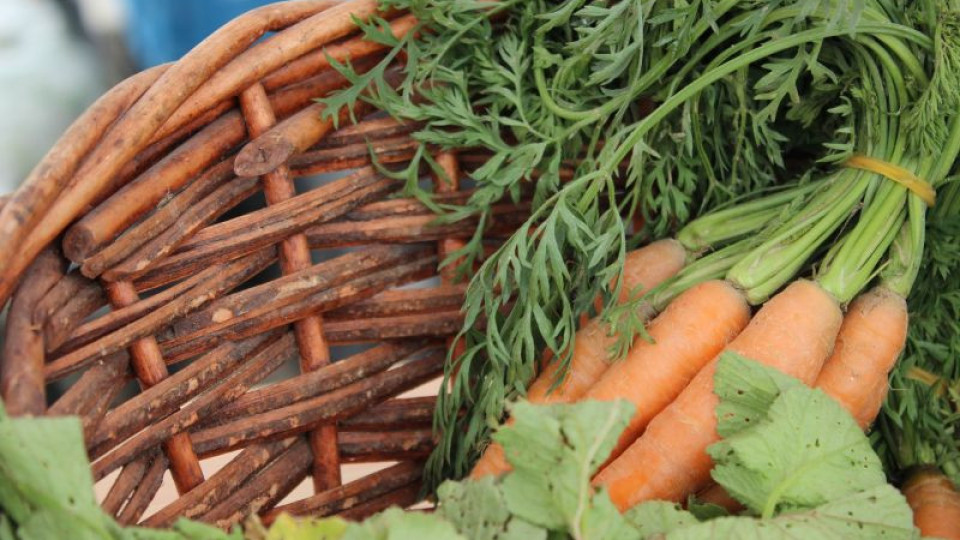 Станаха ясни най-важните ползи от морковите за здравето | StandartNews.com