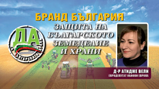 Атидже Вели: ДПС защити в Европа интересите на българското земеделие
