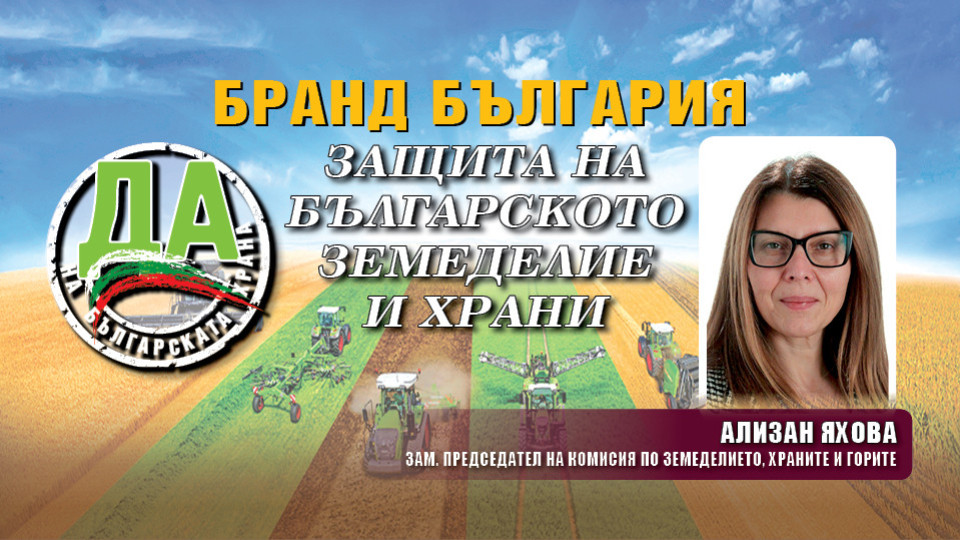 Ализан Яхова: Притеснително е закъснението на кампанията за директните плащания 2024 г. за земеделците | StandartNews.com