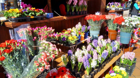 340 000 българи с имена на цветя. Търговците се готвят за голям удар