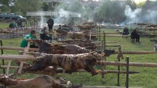 Наш златен град разхвърли чеверметата, въртят 150 агнета