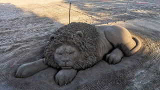 Огромен пясъчен лъв цъфна на плажа в Бургас