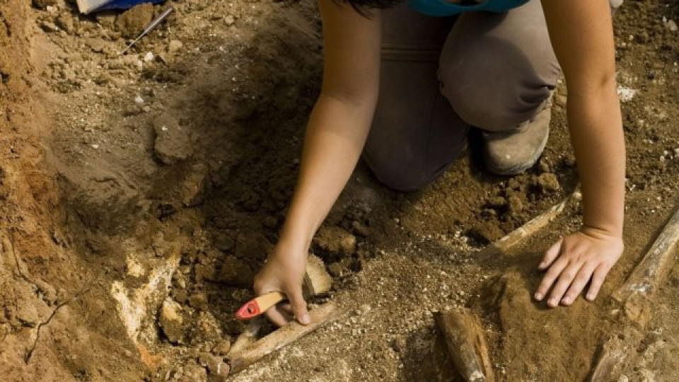 Чудо край Средец! Скелет на гигант преобръща историята (СНИМКИ) | StandartNews.com