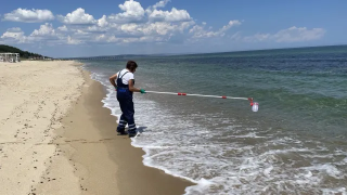Хората настръхнаха! Чиста ли е морската вода