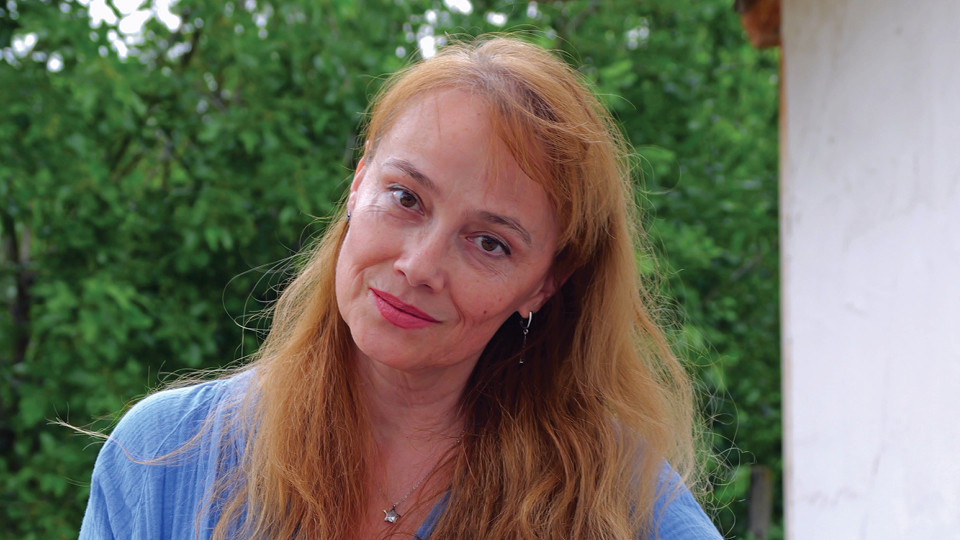 Никола и бомбите | StandartNews.com