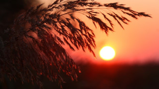 Видовден е! Вижте какви са забраните за деня