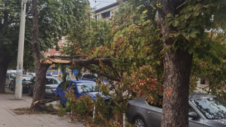 Ужас без край! Свирепа буря помете Русе, ураган в Търново