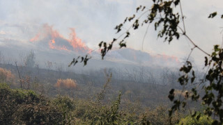 Спряха гръцкия пожар на границата