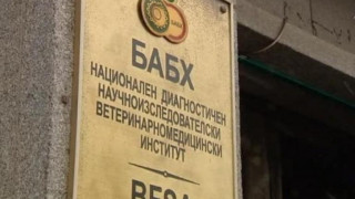 БАБХ с предупреждение! Фермерите да избягват търговия с животни от Румъния и Гърция