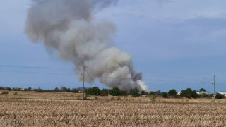 Извънредно! Военен самолет катастрофира у нас, има загинали