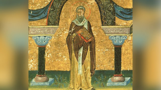 Малка птичка води пролетта на църковния празник 18 февруари