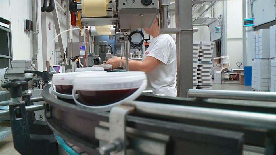 Тежка борба за свободни работни места в България | StandartNews.com