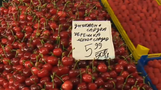 Първите череши - златни! Невиждана цена