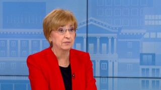 Топ конституционалист разби Радев. Референдумът - незаконен
