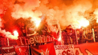 Голяма радост за всички цесекари