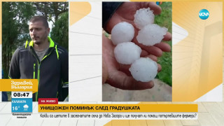 Погром! Градушката като яйце смля всичко в Ямболско