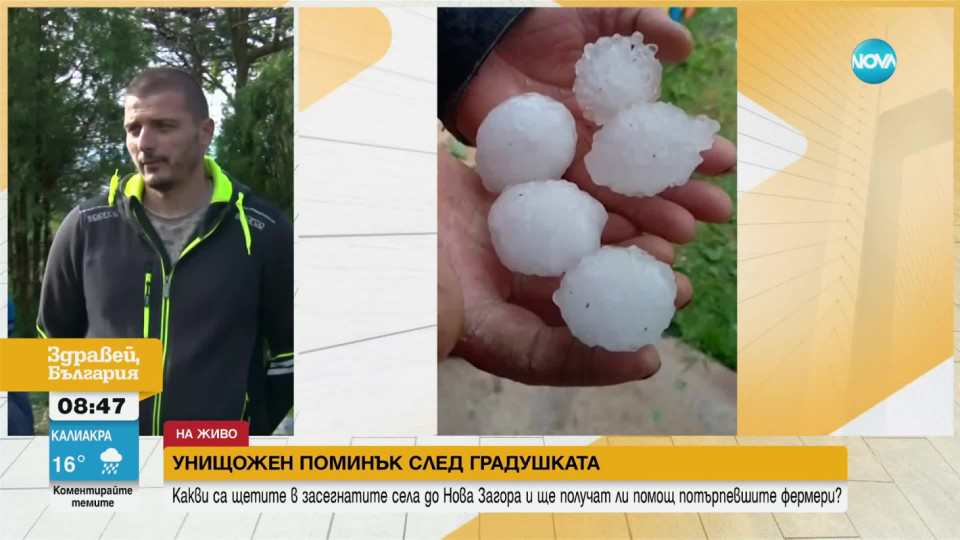 Погром! Градушката като яйце смля всичко в Ямболско | StandartNews.com