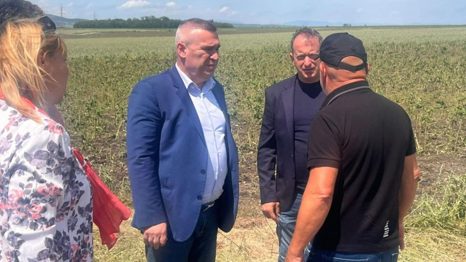 Земеделският министър обеща спешни компенсации за пострадали от градушките | StandartNews.com