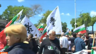 Туристи на морето се смаяха от безумците с протеста