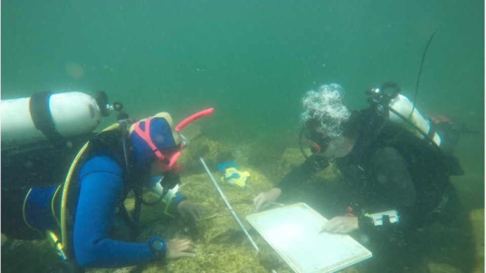 Чудо в морето на Поморие. Пренаписва историята | StandartNews.com