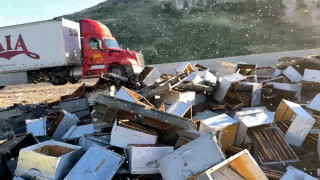 Невиждана катастрофа! 250 милиона пчели на пътя /ВИДЕО/
