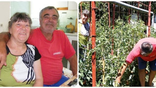 Семейна драма за наша измъчвана медсестра в Либия