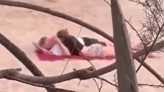 Българка разведе световна спортна звезда