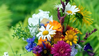 Петдесетница е! 6 неща, които се правят за късмет