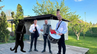 Създадоха песен за пантерата от Шумен /ВИДЕО/