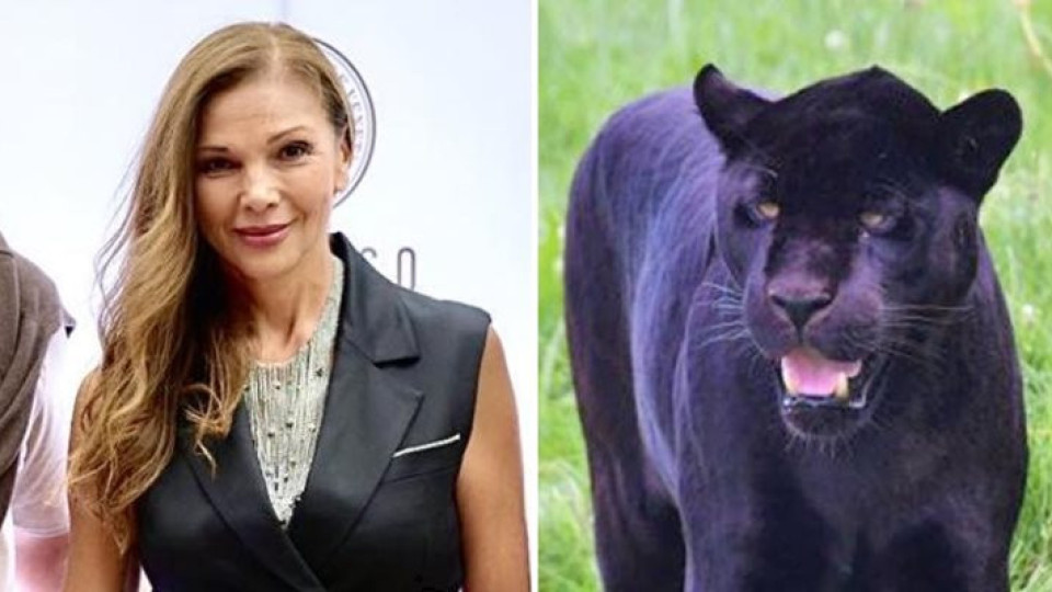Юлияна Дончева с важно разкритие за собственика на пантерата | StandartNews.com