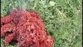 Мистерия в наш град. Падна невиждано чудо