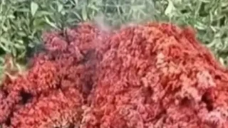 Очевидец със смайващи разкрития за мистериозния обект в Якоруда
