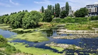 Голям проблем в наш град. Хората притеснени