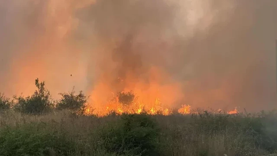 Чудо в наше село. Пожар заобиколи дървен параклис /СНИМКИ/ | StandartNews.com