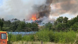 Синоптик с разтърсващи данни за времето и пожарите в България