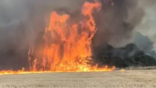 Огнената лавина в Трънско! Три села изчезнаха /ВИДЕО и СНИМКИ/