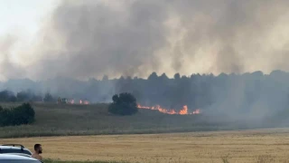 Втори пожар в София. Пламъците са огромни