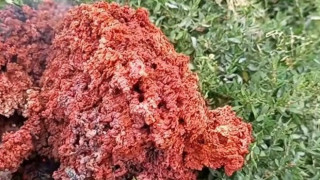 Нови подробности за червеното нещо, което падна от небето в Якоруда