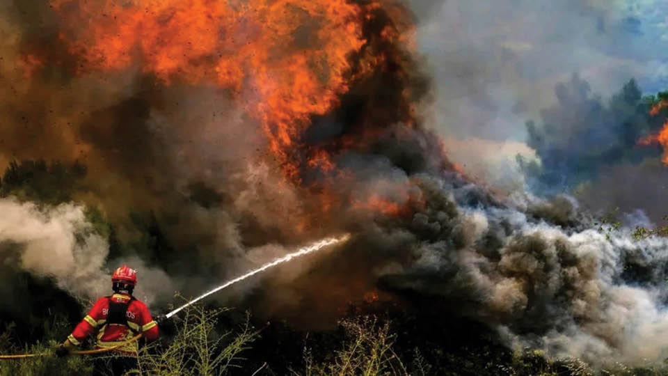 Изчадия ли сме или нечии интереси палят пожарите? | StandartNews.com