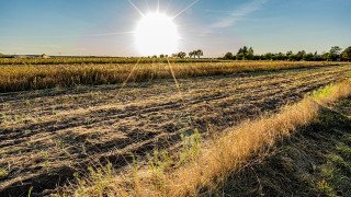 Прогнозата - слънчево време, разлика в източната част на страната