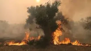 Драма на вълшебни гръцки острови! Държавата на крак