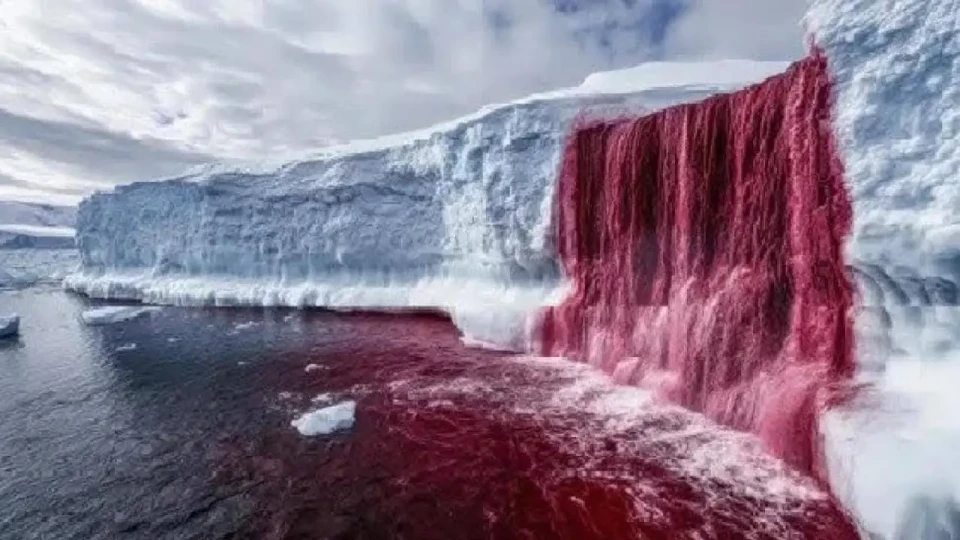 Разкриха тайната на Кървавите водопади в Антрактида | StandartNews.com