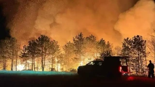 България в Топ 5 в ЕС. Новината не е добра