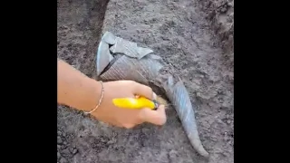 Археолозите с удар! Изключително рядка находка