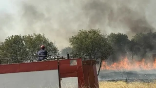 В Българово е страшно! Обгазени хора /ВИДЕО/
