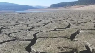 Почна се! Пресъхна ключова река у нас /СНИМКА/