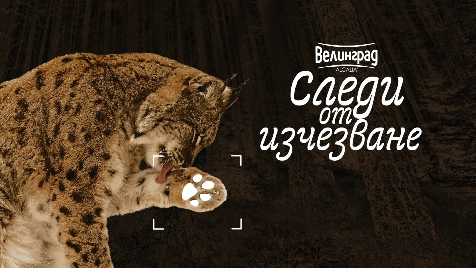 Зоопарк Стара Загора става домакин на пътуващата изложба „Следи от изчезване“ | StandartNews.com