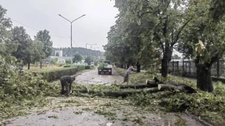 Невиждан ураган вилня у нас. Ето щетите