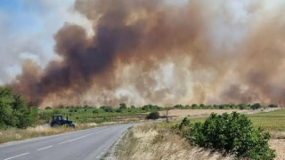 Пламъци отново бушуват из страната. Къде е опасността